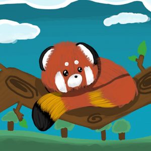 Dibujo Kawaii de alumna de alumna de panda rojo
